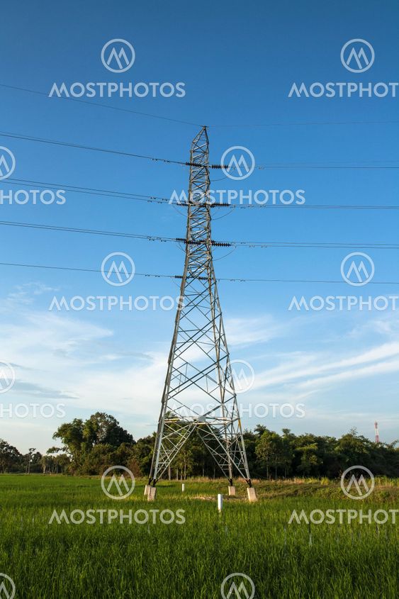High voltage pylon in paddy
