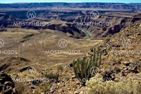 a cactus in front of the fish river canyon south namibia
