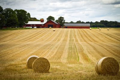 Skördetid vid gård med åkermark