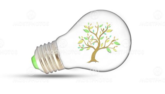 Light Bulb with sprout inside