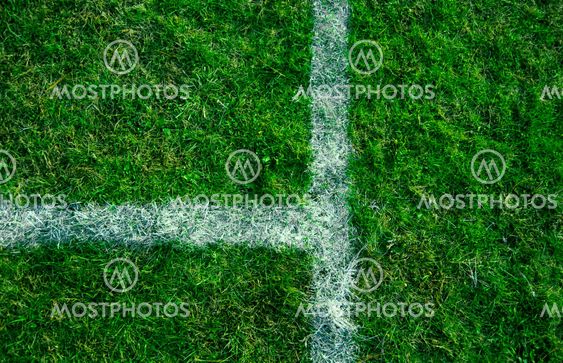field lines