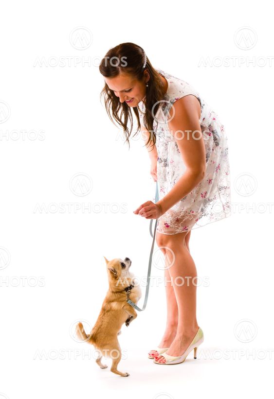 Dog training