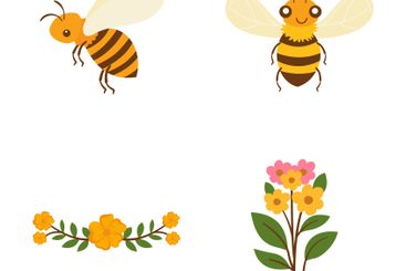 Elements Set of Honeybee Bee Insect Animal with Flower...