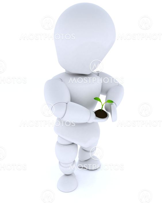 man nurturing a seedling plant