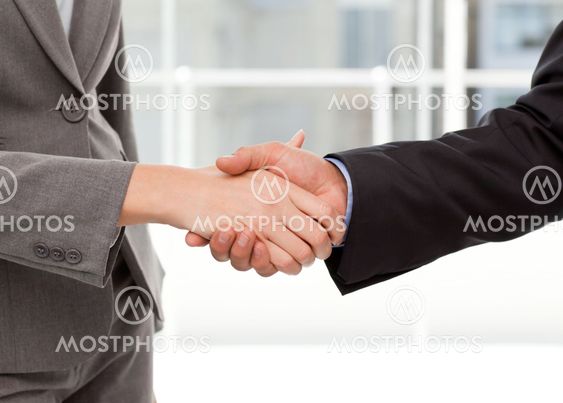 Close up of two businesspeople shaking their hands