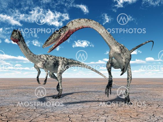 Dinosaur Coelophysis
