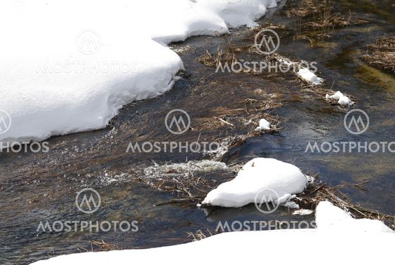 Spring stream and white snow