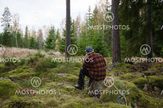 Man on a stump in the forest