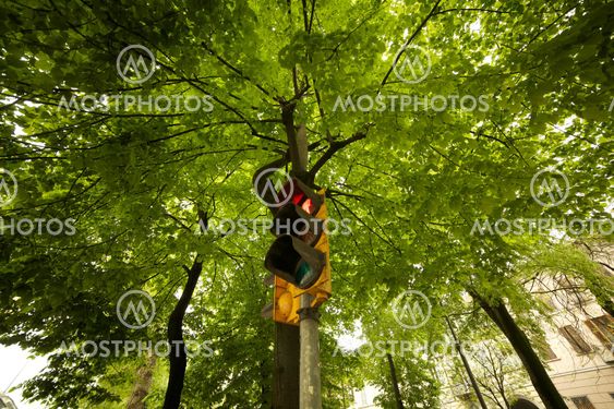 Traffic sign