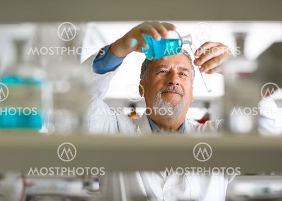 Senior male researcher carrying out scientific research...