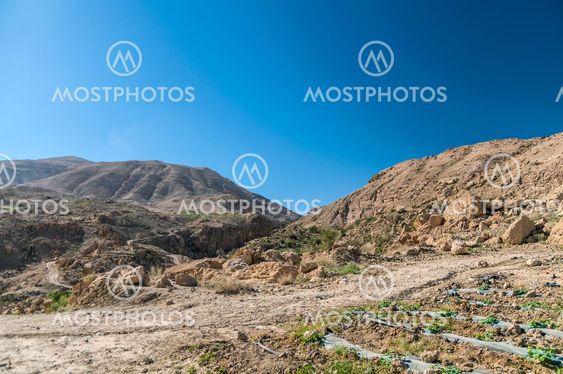 Desert Landscape