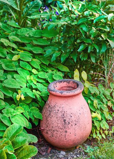 Empty pot, vase and leaves with garden design for decor,...