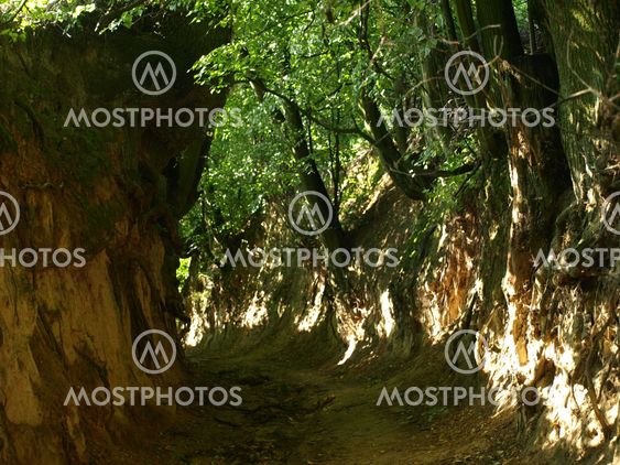 Ravine in Kazimierz Dolny, Poland