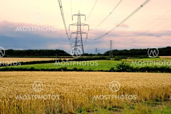 Pylon