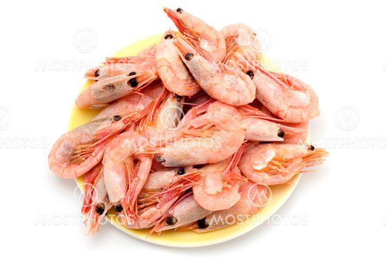 shrimp
