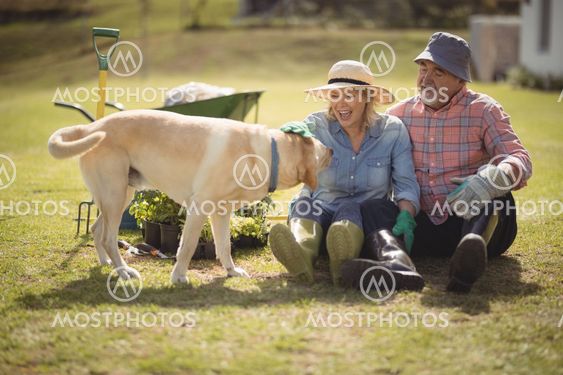 Senior couple caressing dog while sitting in their lawn.