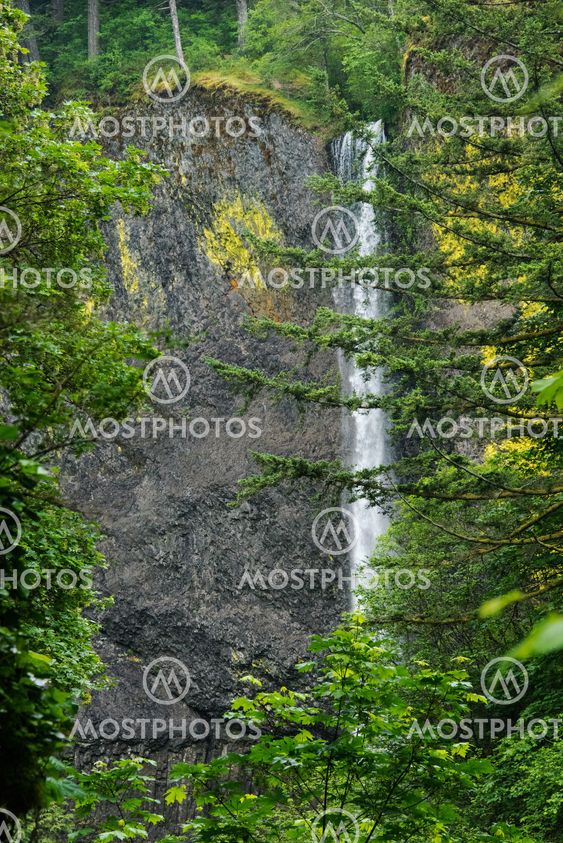 Lower Latourell Falls