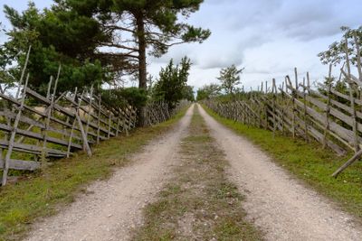 Country road on Gotland