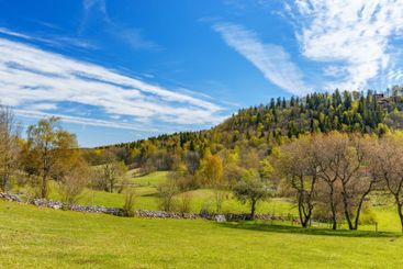 Beautiful landscape view in spring