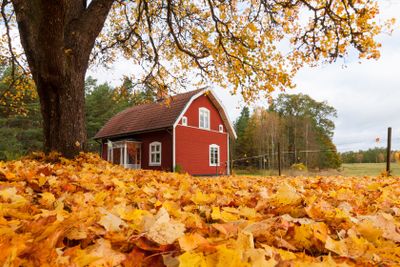 Red wooden house in Småland, Sweden, in autumn