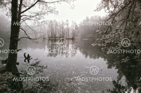 IR Fog