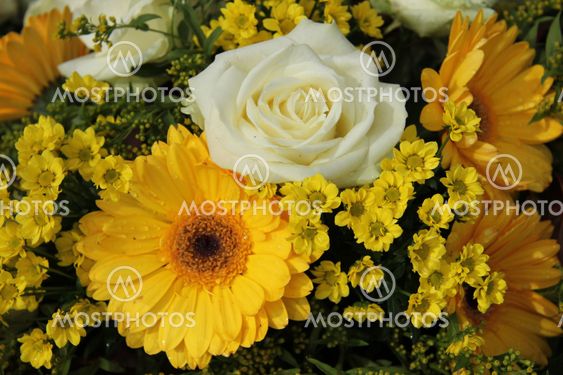 White roses and yellow gerberas