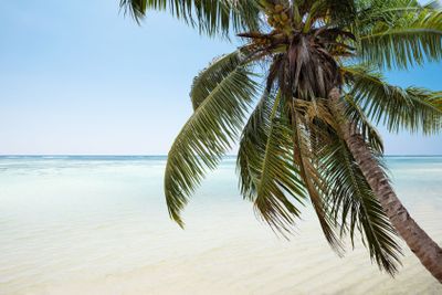 Idyllic View Of Sea At Beach