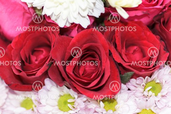rose and bright flowers