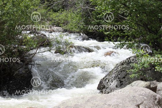 Rocky Mountain Stream