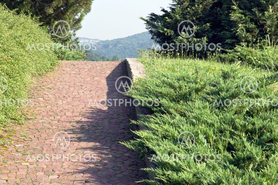 Paved alley
