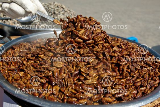 Boiled silkworm pupae