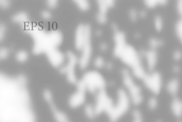 Transparent natural plant shadow. Light effect overlay....