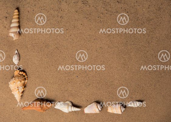 sea shells with sand as background