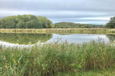 Häringe naturreservat