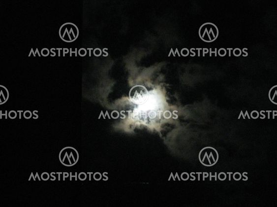 moonlight