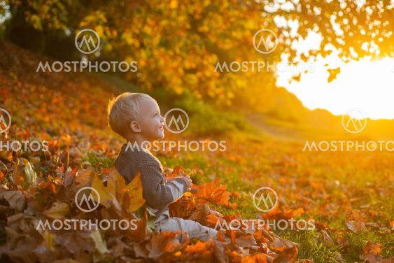 Smilimg cute little girl sitting on the covered leaves...