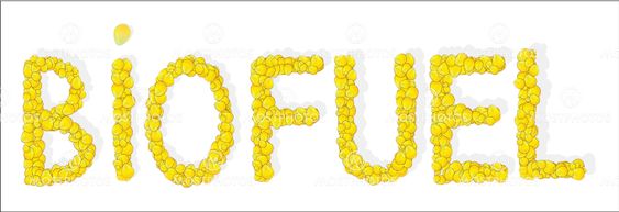 Biofuel inscription