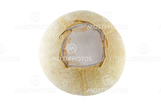 Coconut