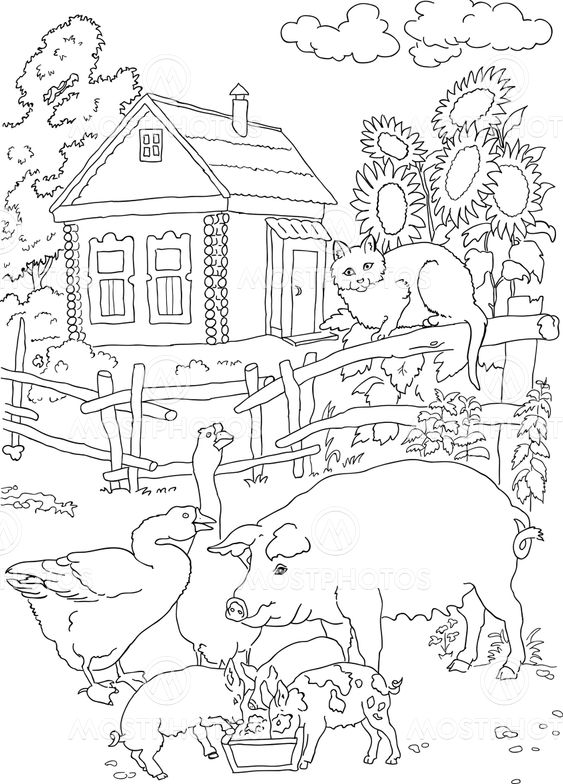 coloring cat, pig, house