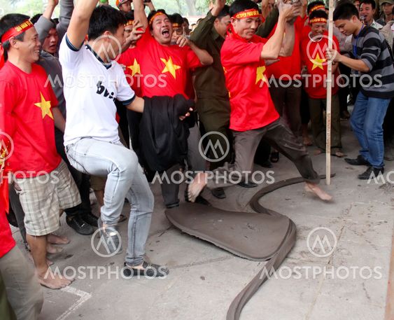 farmers play firecracker