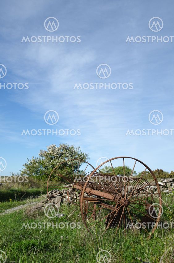 Abandoned old horse rake in a landscape at springtime