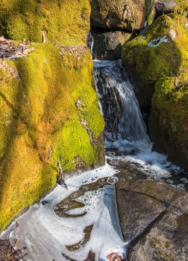 Small creek with a waterfall at a rock