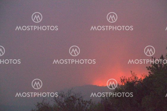 fire in la palma