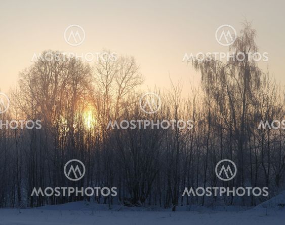 Winter sunrise
