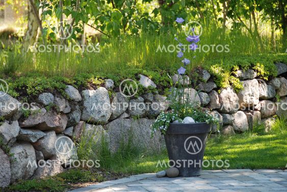blommor mot stenmur