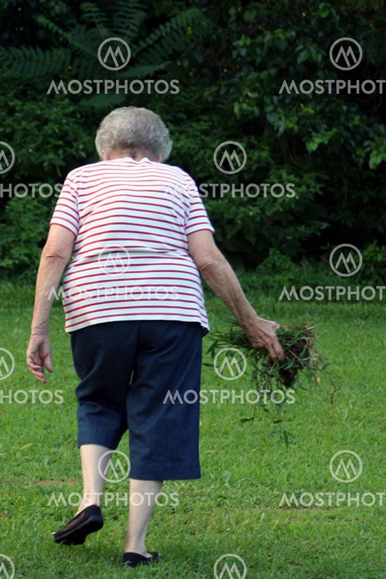 Gemenskapens Service Grandma 6