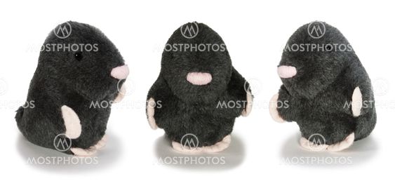 Trio Gentlemans in black velvet isolated toy