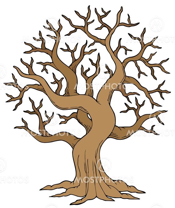 Hollow tree