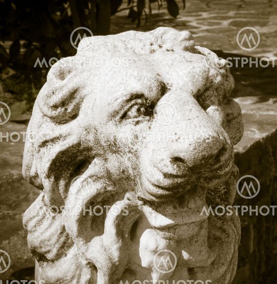 Stone Lion Head