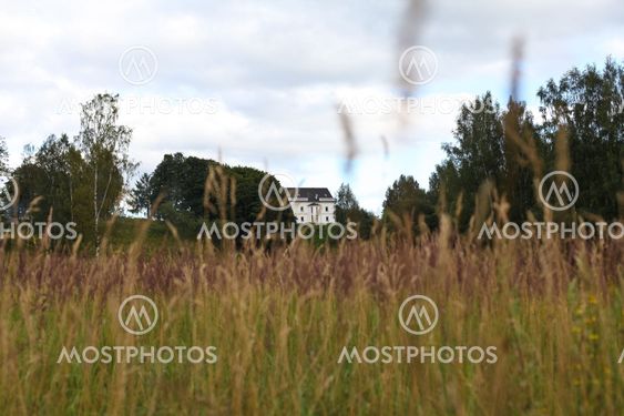 Landscape with distant house